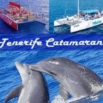 Costa Adeje Whale Dolphin Catamaran Experience
